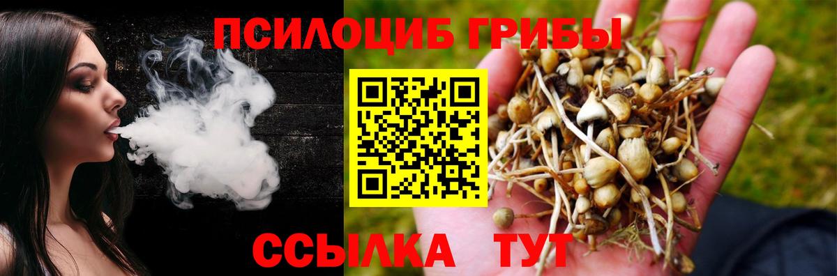 Псилоцибиновые грибы GOLDEN TEACHER  Вход с VPN  Галлюциногенные грибы Psilocybe  Артёмовский 