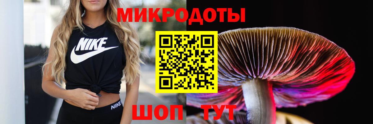 Псилоцибиновые грибы ЛСД Артёмовский